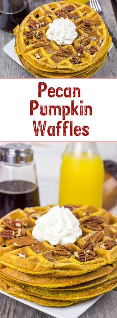 These Pecan Pumpkin Waffles are packed with tasty autumn spices...and they're perfect for Sunday morning breakfast!