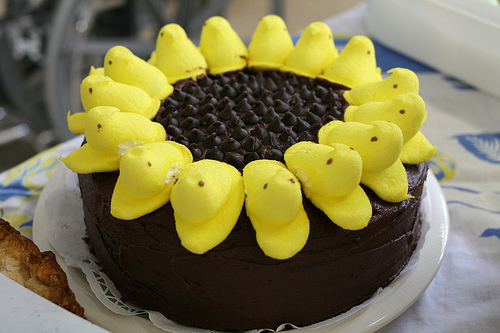 peep sunflower cake peep sunflower cake recipe
