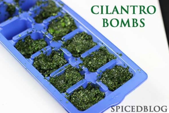 Cilantro Bombs--the perfect use for extra cilantro!