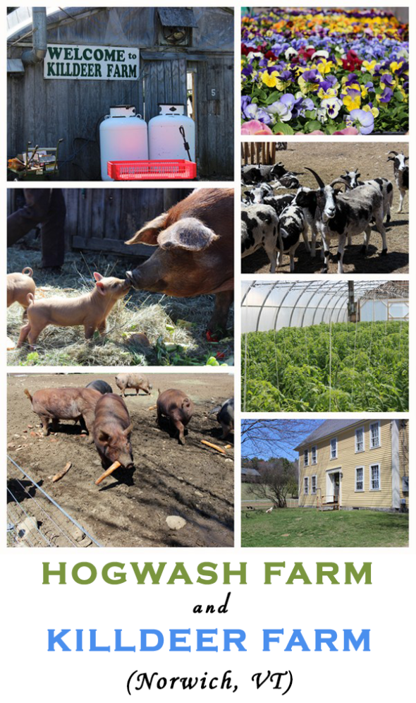 Hogwash Farm and Killdeer Farm (Norwich, VT)