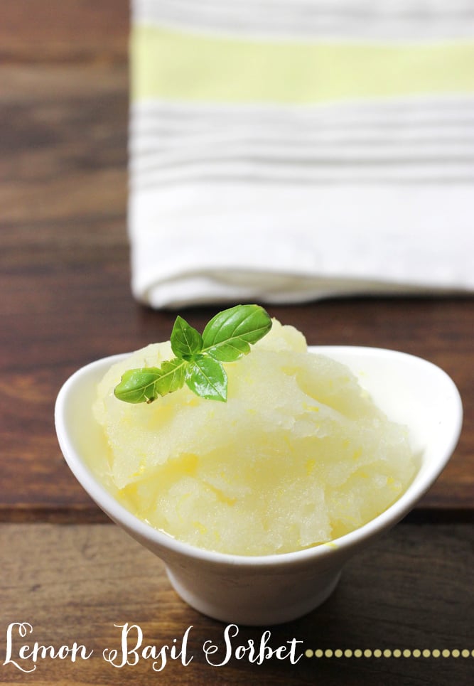 Sparkling Lemon Basil Sorbet: a light and refreshing summer dessert!