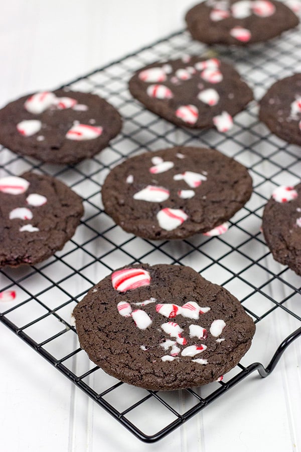 Double Chocolate Peppermint Cookies