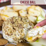 Toasted Walnut Blue Cheese Ball #shop #HolidayAdvantEdge and #cbias