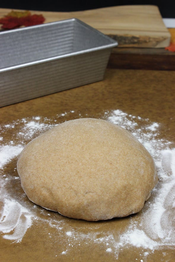 Whole Wheat Sandwich Bread
