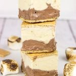 These fun S'mores Ice Cream Sandwiches combine two of your favorite summer treats into one delicious frozen dessert!