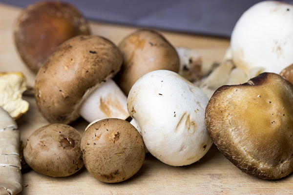 This Wild Mushroom Bean and Barley Soup features several types of 'shrooms and the magical orca bean! It's perfect for chilly Fall and Winter days!