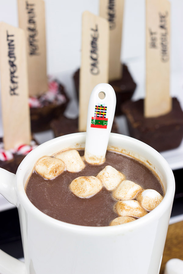 Mix your Hot Chocolate up a bit...and serve it on a stick!