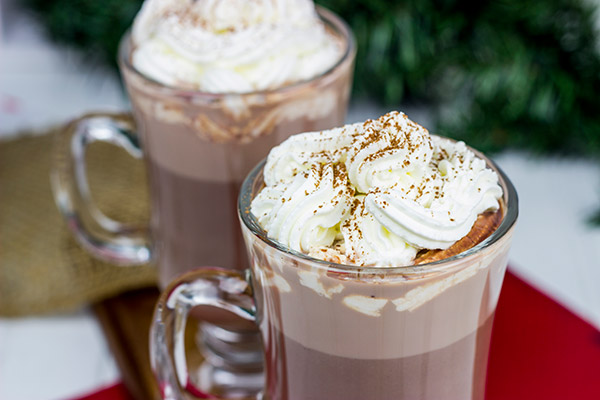 Cheers! Add a splash of Irish Cream to your hot cocoa for a fun and tasty holiday drink!
