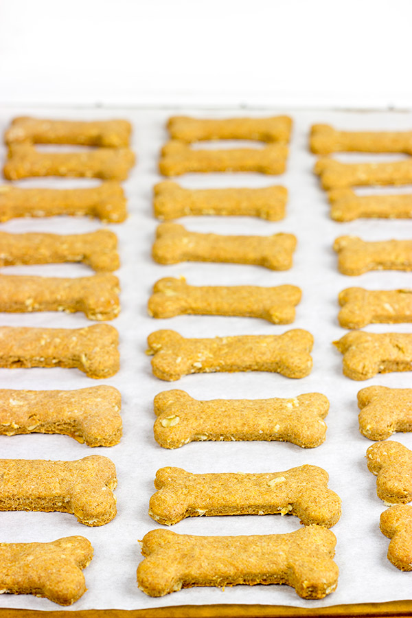 These Peanut Butter Oat Dog Bones are easy...and sure to get a high-five from your 4-legged friends! #EveryDayCare