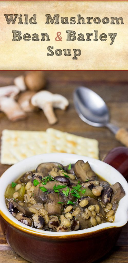 This Wild Mushroom Bean and Barley Soup features several types of 'shrooms and the magical orca bean! It's perfect for chilly Fall and Winter days!