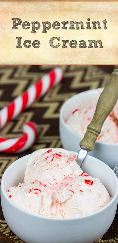This homemade Peppermint Ice Cream is so tasty that Santa might just skip the cookies this year!