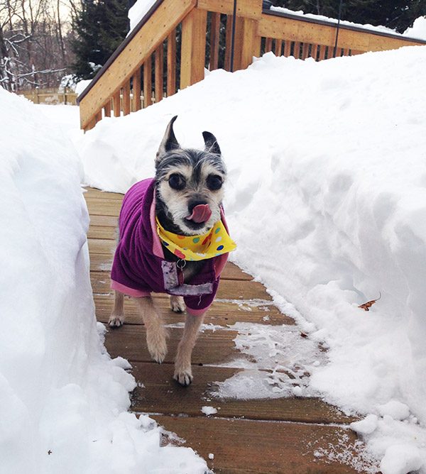 Ethel-Snow