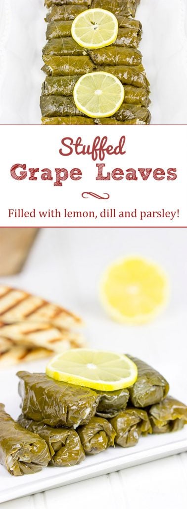 Filled with the flavors of lemon, dill and parsley, these Stuffed Grape Leaves are a fun way to enjoy classic Greek food at home!
