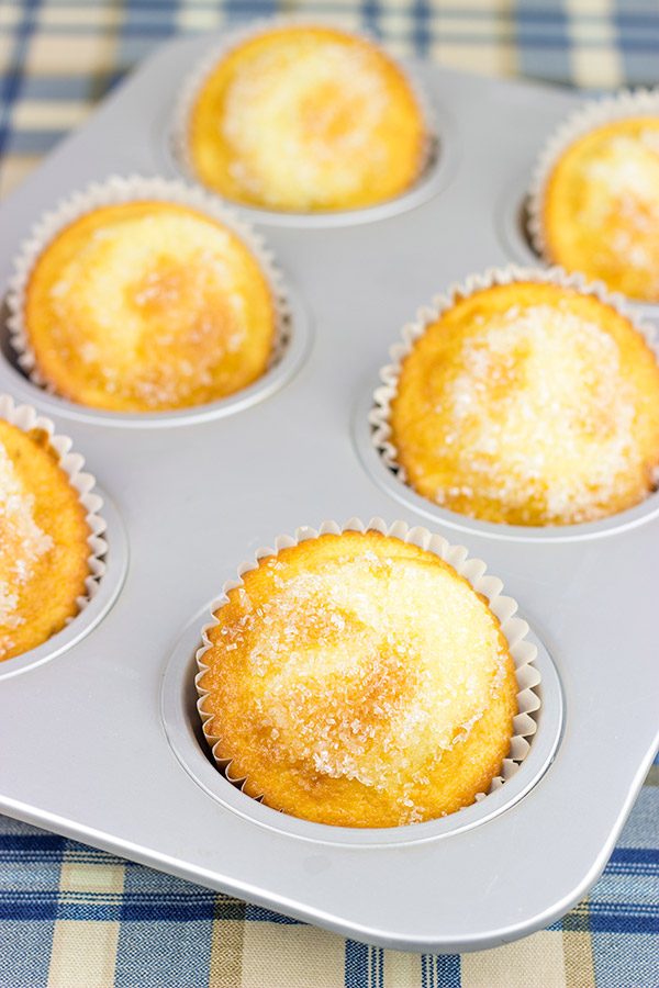 Loaded with fresh blueberries, these Bakery Style Blueberry Muffins are a great way to start the day!