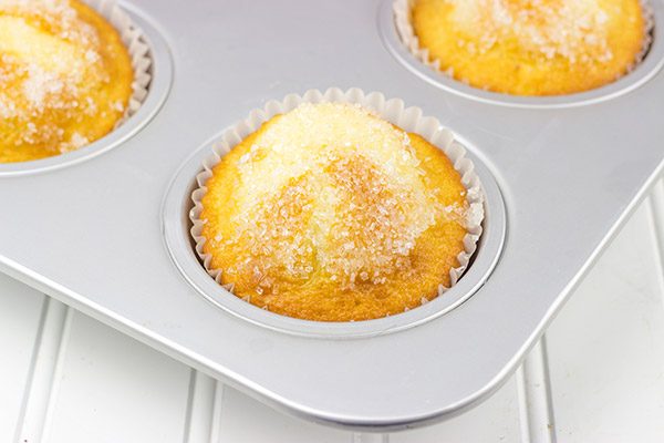 Loaded with fresh blueberries, these Bakery Style Blueberry Muffins are a great way to start the day!