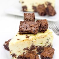 Complete with brownie bites baked into this cheesecake and piled high on top, this Brownie Bite Cheesecake is an impressive dessert to serve to company!