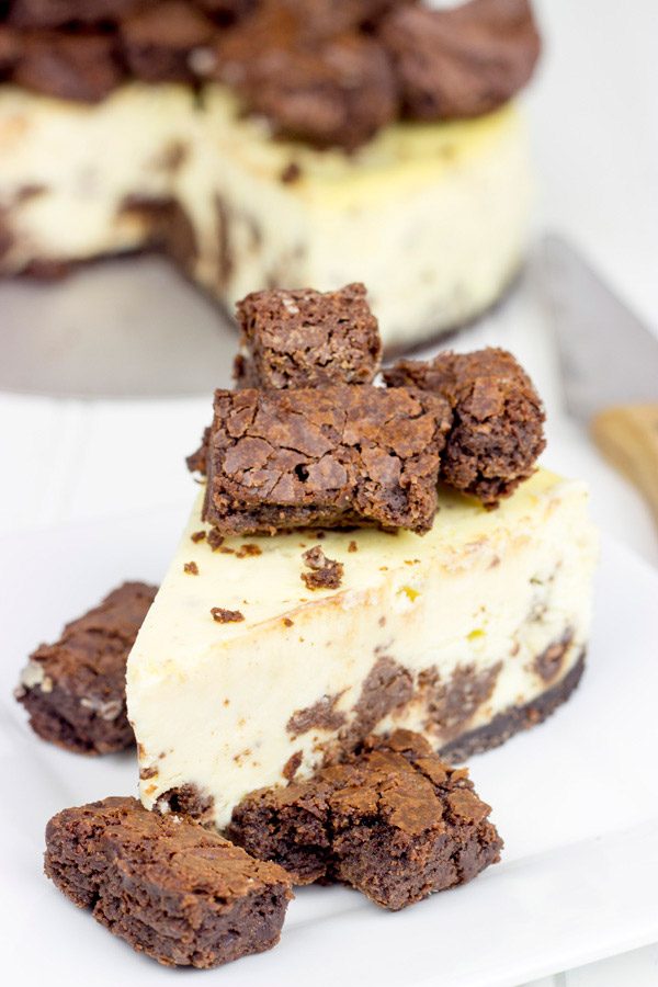 Complete with brownie bites baked into this cheesecake and piled high on top, this Brownie Bite Cheesecake is an impressive dessert to serve to company!