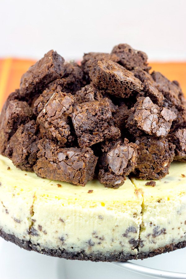 Complete with brownie bites baked into this cheesecake and piled high on top, this Brownie Bite Cheesecake is an impressive dessert to serve to company!