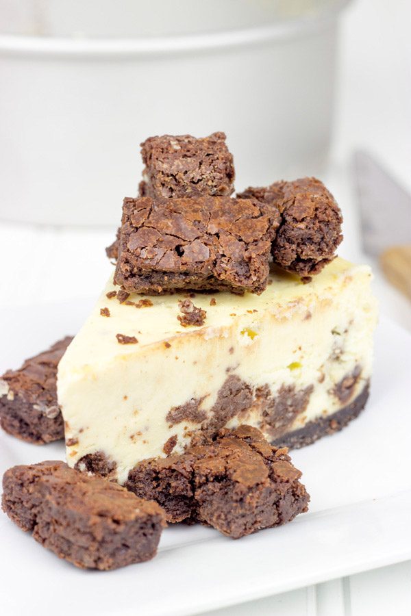 Complete with brownie bites baked into this cheesecake and piled high on top, this Brownie Bite Cheesecake is an impressive dessert to serve to company!