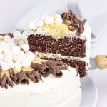 Who needs a campfire when you have this S'more Chocolate Marshmallow Cake?
