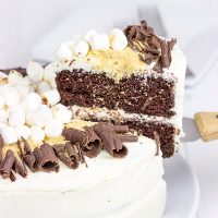 Who needs a campfire when you have this S'more Chocolate Marshmallow Cake?