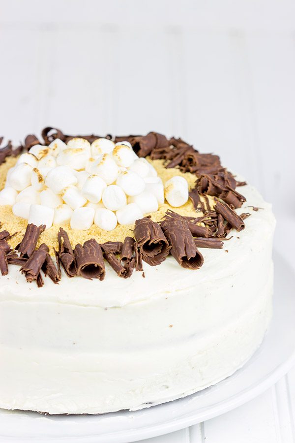 Who needs a campfire when you have this S'more Chocolate Marshmallow Cake?