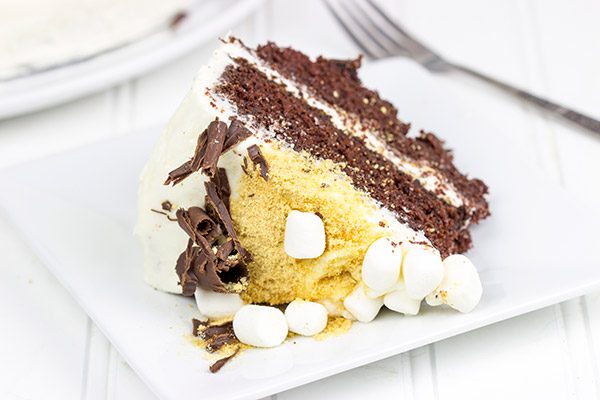 Who needs a campfire when you have this S'more Chocolate Marshmallow Cake?