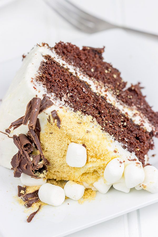 Who needs a campfire when you have this S'more Chocolate Marshmallow Cake?