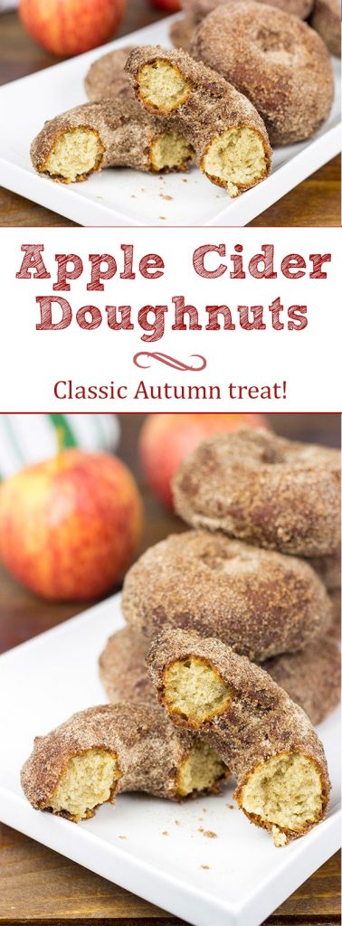 Packed with the comforting flavors of Fall, these Apple Cider Doughnuts are an excellent sweet treat for the crisp, cool days ahead.