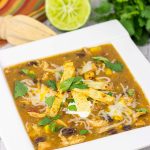 Grab a hot bowl of this Chicken Enchilada Soup for lunch (or dinner) today...it's the perfect way to warm up on these cold winter days!