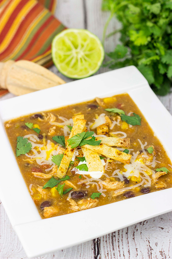 Grab a hot bowl of this Chicken Enchilada Soup for lunch (or dinner) today...it's the perfect way to warm up on these cold winter days!