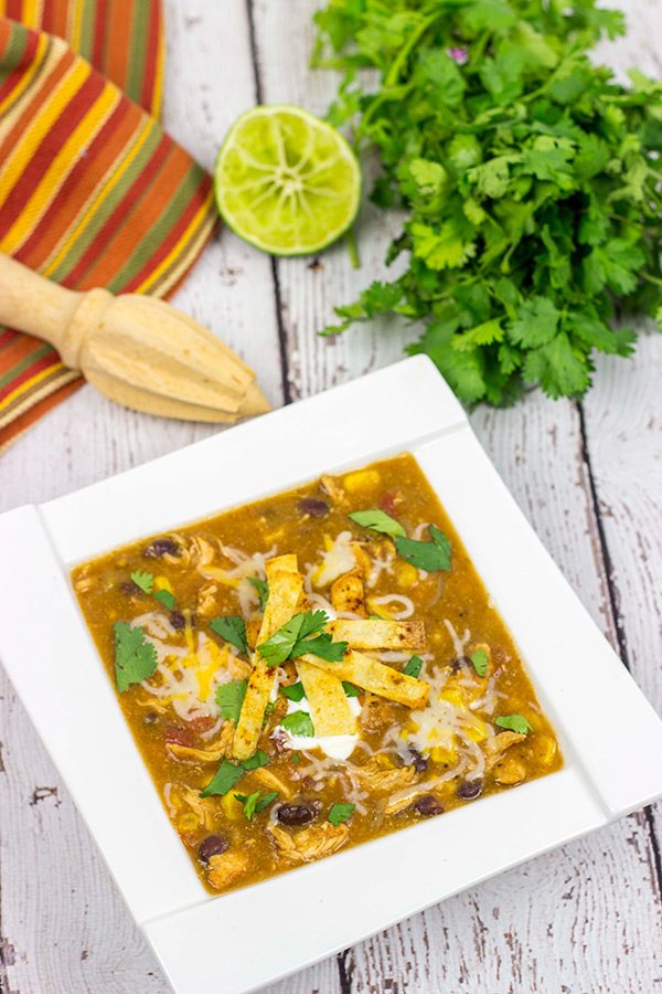 Grab a hot bowl of this Chicken Enchilada Soup for lunch (or dinner) today...it's the perfect way to warm up on these cold winter days!