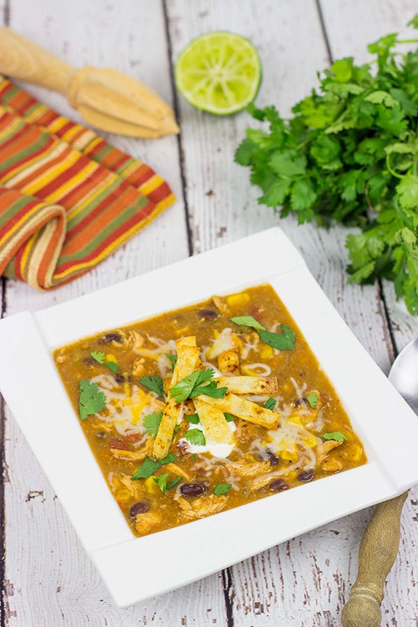 Grab a hot bowl of this Chicken Enchilada Soup for lunch (or dinner) today...it's the perfect way to warm up on these cold winter days!
