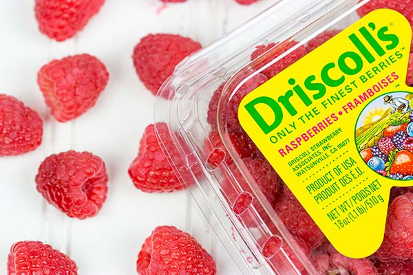 Featuring a light, lemony base and topped with fresh raspberries, this Lemon Raspberry Mascarpone Tart is bound to be a new holiday favorite in your house!