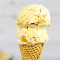 Nothing quite says summer like homemade ice cream. Whip up a batch of this creamy Peanut Butter Ice Cream today!