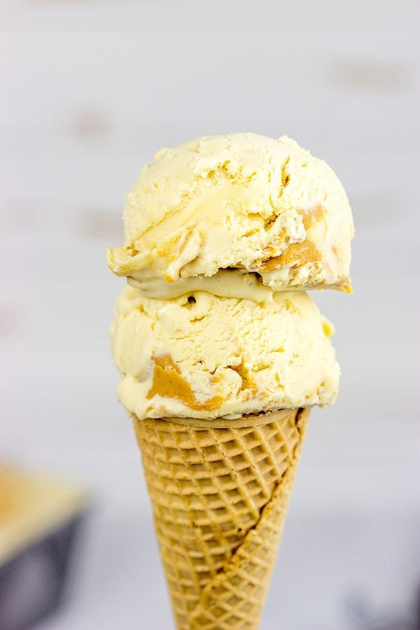 Nothing quite says summer like homemade ice cream. Whip up a batch of this creamy Peanut Butter Ice Cream today!