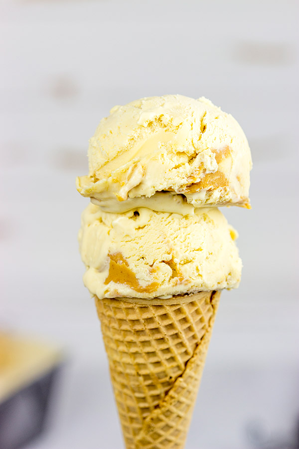 Nothing quite says summer like homemade ice cream. Whip up a batch of this creamy Peanut Butter Ice Cream today!