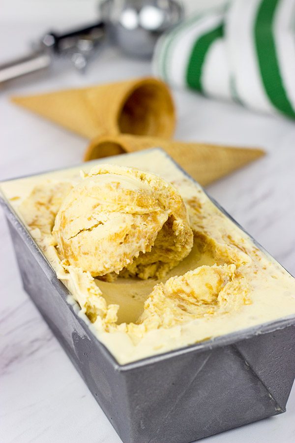 Nothing quite says summer like homemade ice cream. Whip up a batch of this creamy Peanut Butter Ice Cream today!