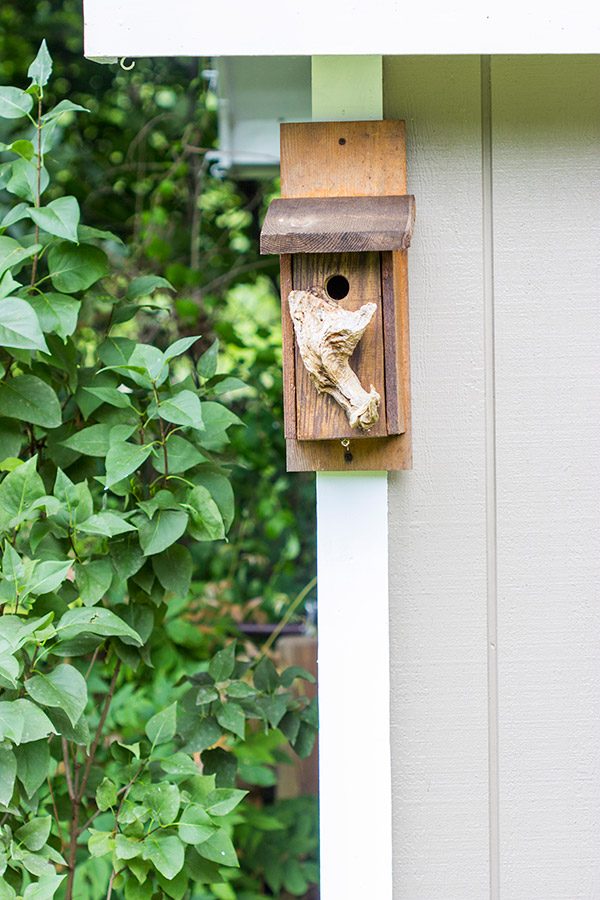 Birdhouse