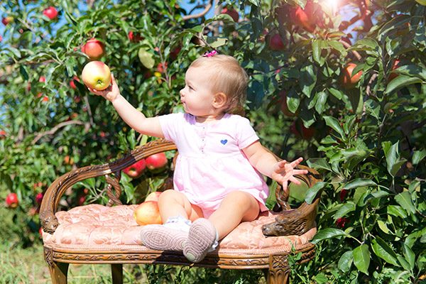 Apple-Picking089