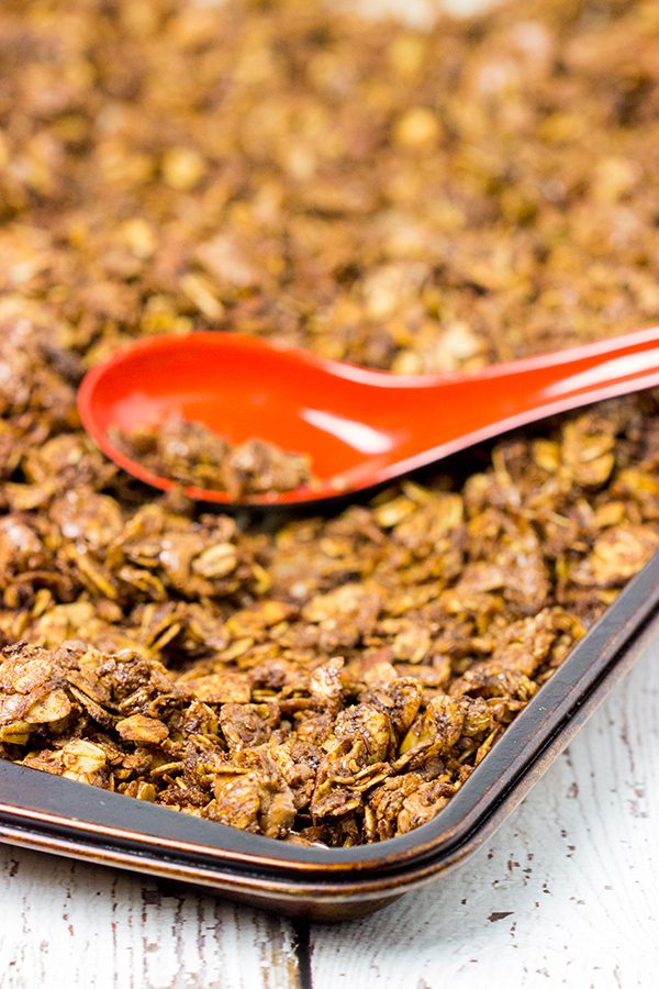 No matter the time of day, this Chocolate Almond Granola is one tasty treat!