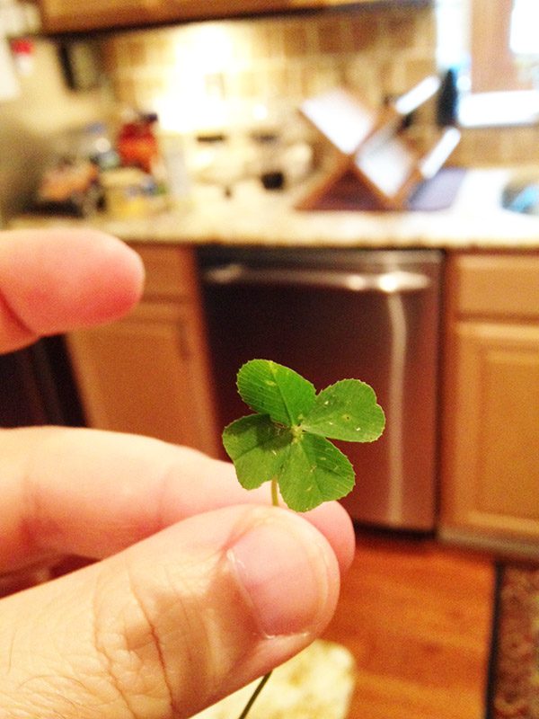 Cloverleaf