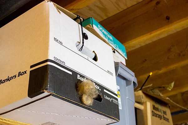 hair-in-box