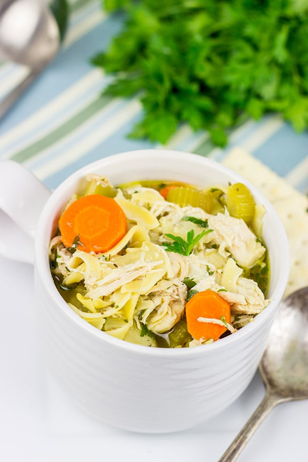 This Slow Cooker Chicken Noodle Soup is perfect for cold winter days when you just want to curl up on the couch with a good book!