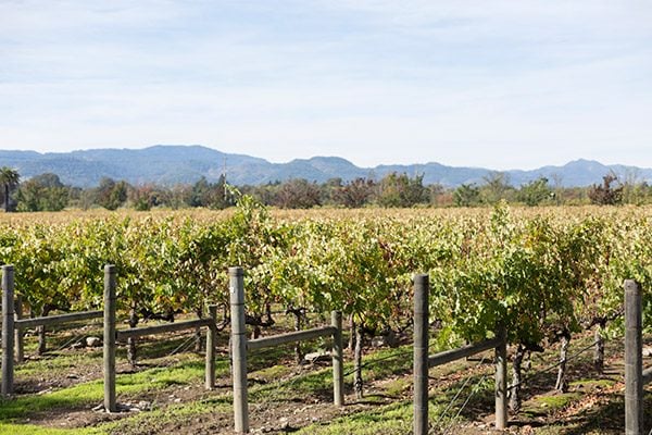 48 Hours in Napa Valley