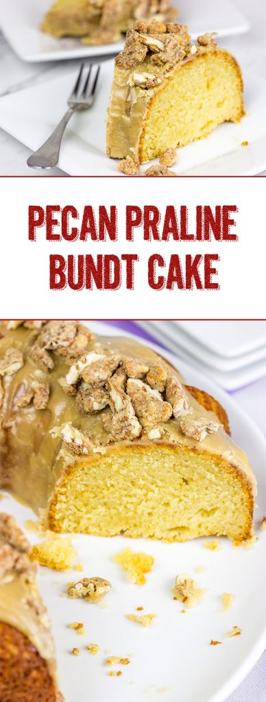 This Pecan Praline Bundt Cake features a warm praline frosting poured over a moist cake. Oh, and there's some sugared pecans in there, too! Enjoy!