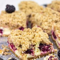 These Blackberry Cheesecake Bars are a new summer favorite dessert in our house!