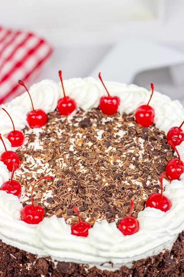 Featuring layers of chocolate cake filled with cherries and fresh whipped cream, the Black Forest Cake is a classic (and delicious!) dessert!