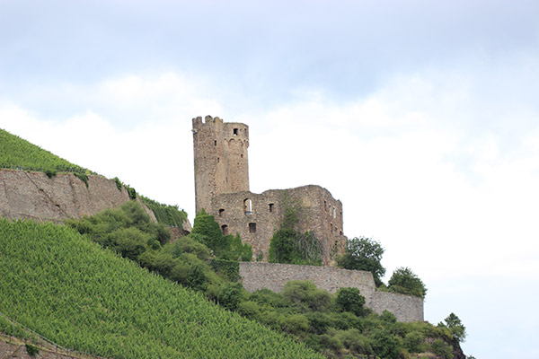 Castles and towns along the Middle Rhine