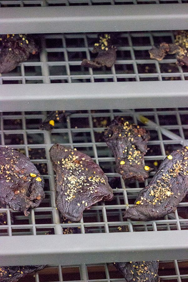 Ever made homemade jerky?  It's surprisingly easy...and really delicious!  This Homemade Venison Jerky Recipe is a favorite snack around our house!